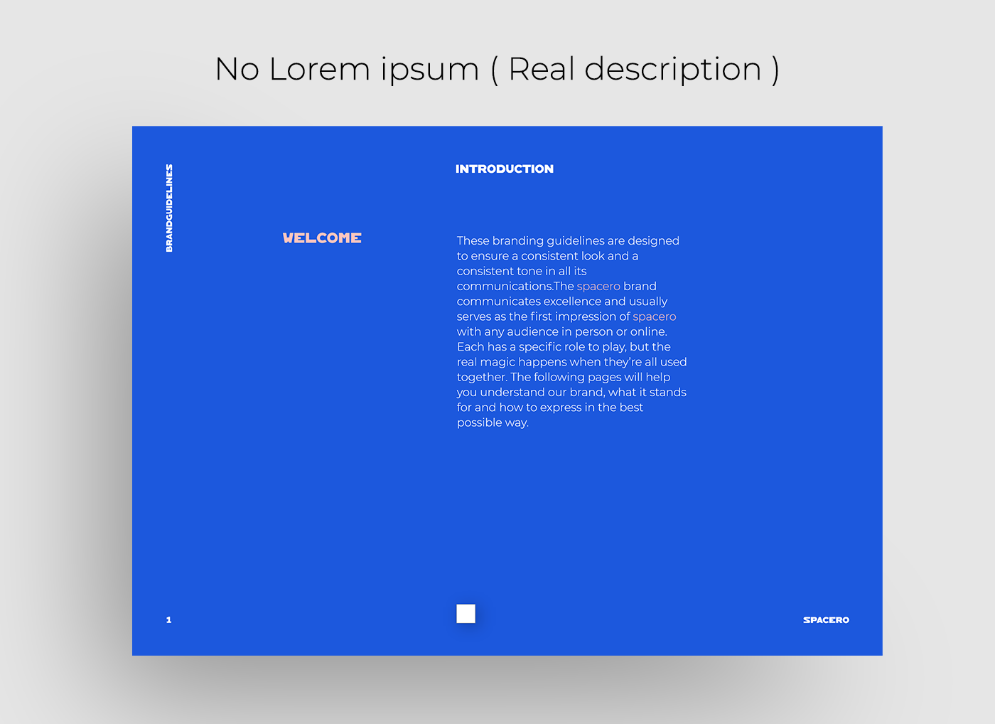 brand guidelines